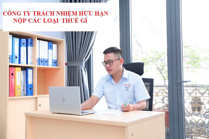 Công ty TNHH nộp thuế gì? 5W8A37460